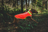 Ruffwear Lumenglow High-Vis Dog Vest Jacket