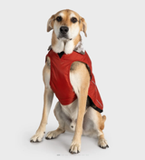 Dryrobe Dog Jacket - waterproof and wind-resistant