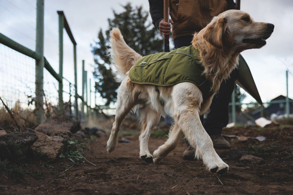 Ruffwear Overcoat Fuse dog Jacket