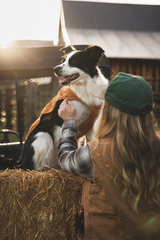 Ruffwear Overcoat Fuse dog Jacket