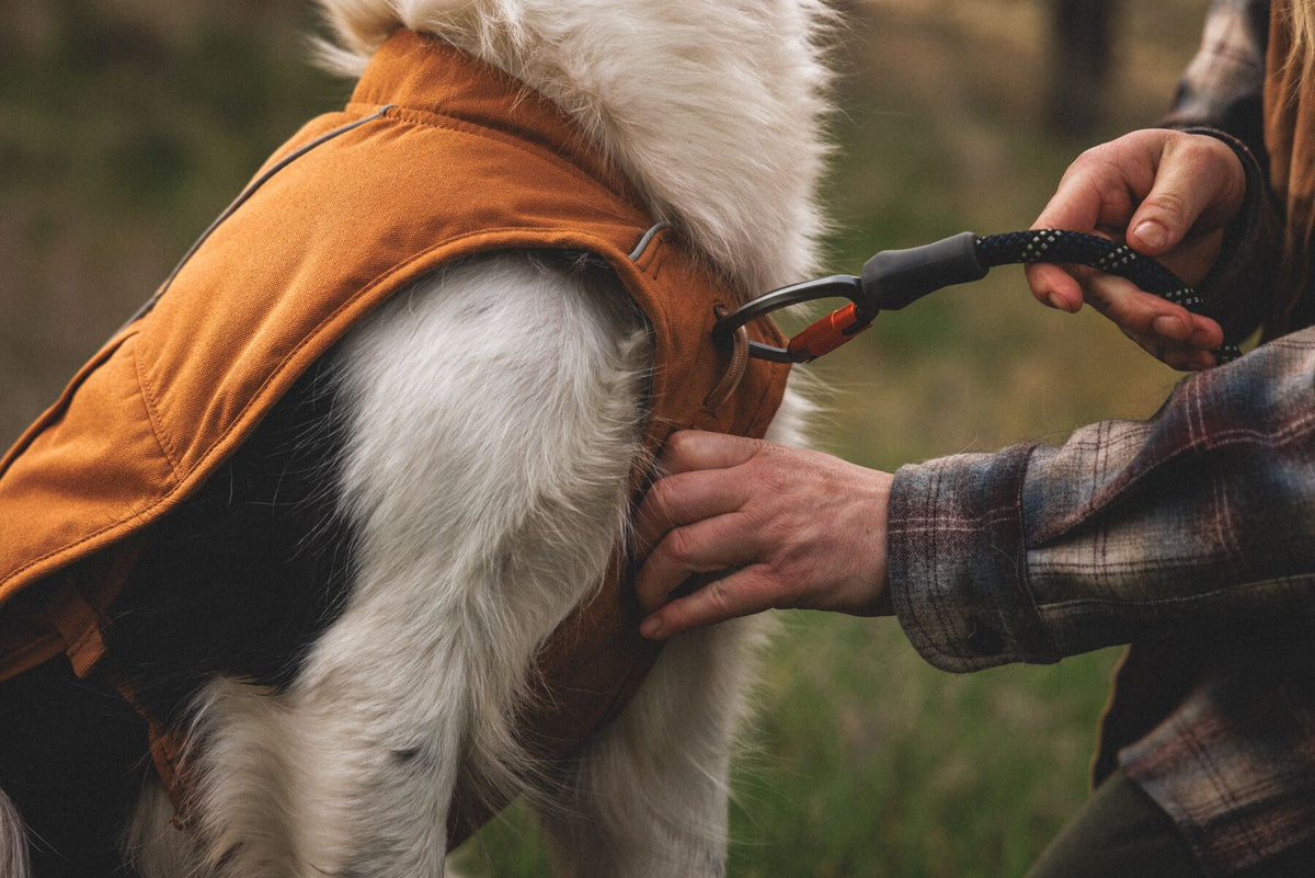 Ruffwear Overcoat Fuse dog Jacket