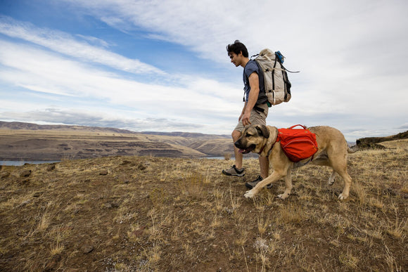 Ruffwear Palisades Dog Backpack