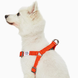 Dogs & Cats & Co. Classic Solid Color Dog Harness by Blueberry Pet