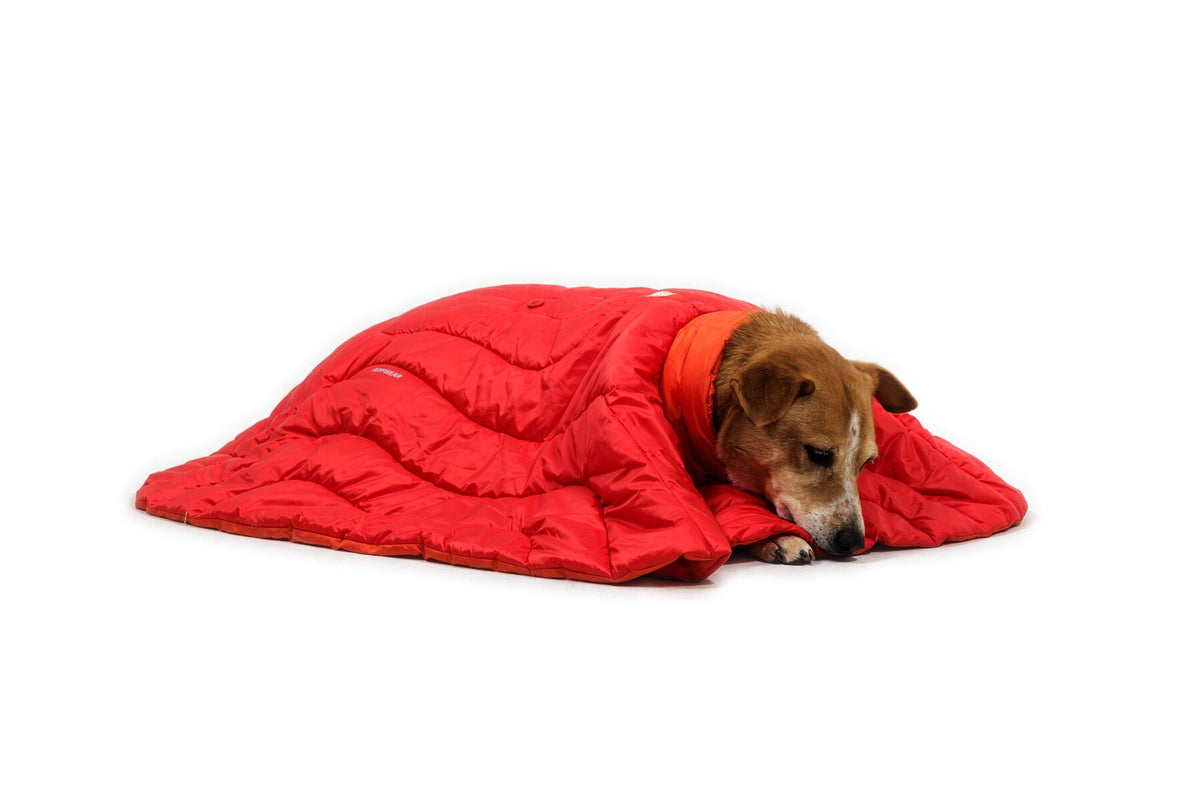 Ruffwear Palisades Poncho
