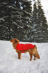 Ruffwear Powder Hound Waterproof Insulated Vest