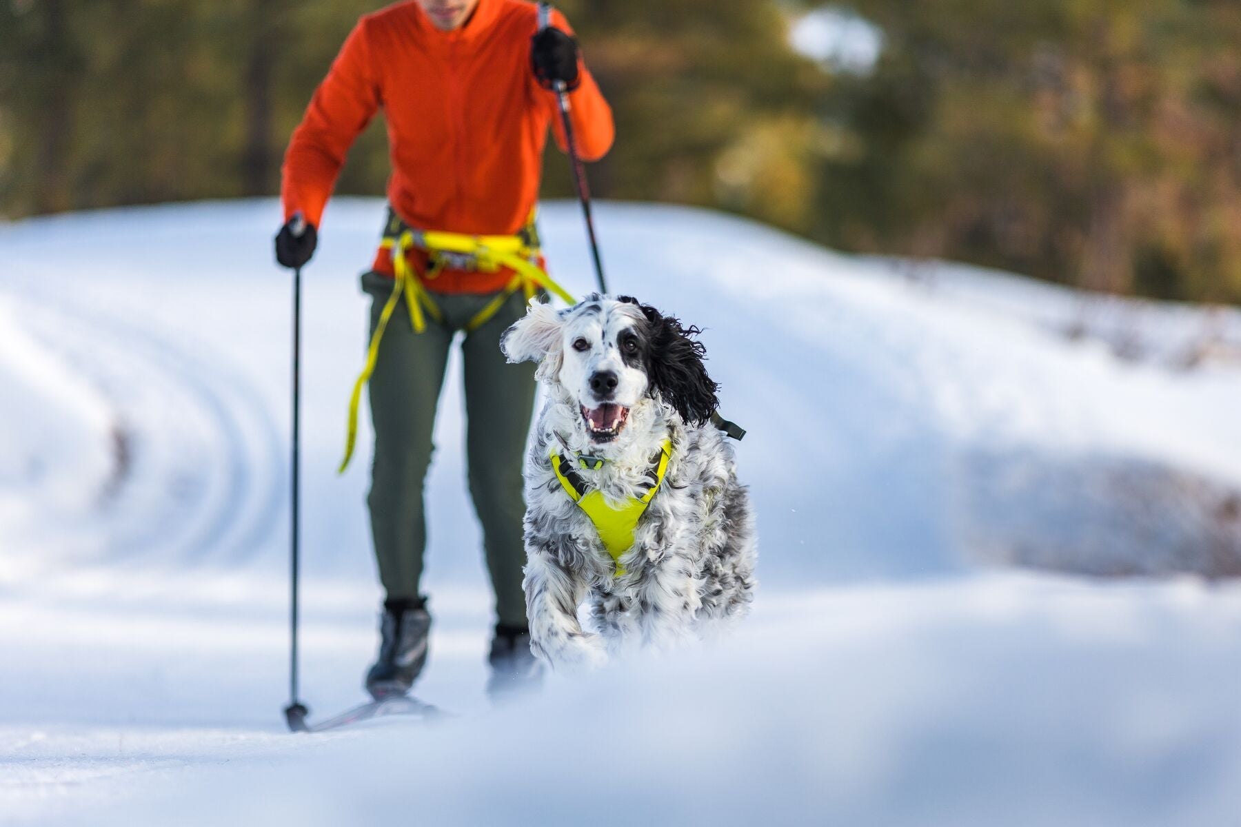 Running Harness - Omnijore Joring System