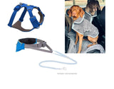 Buy and Save - Dog Running Set with drying jacket by Leadingdog