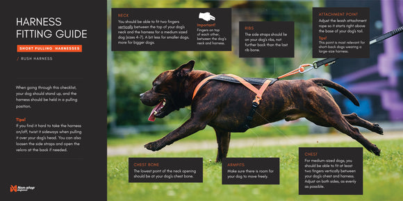 Non-stop dogwear Rush dog harness