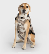 Dryrobe Dog Jacket - waterproof and wind-resistant