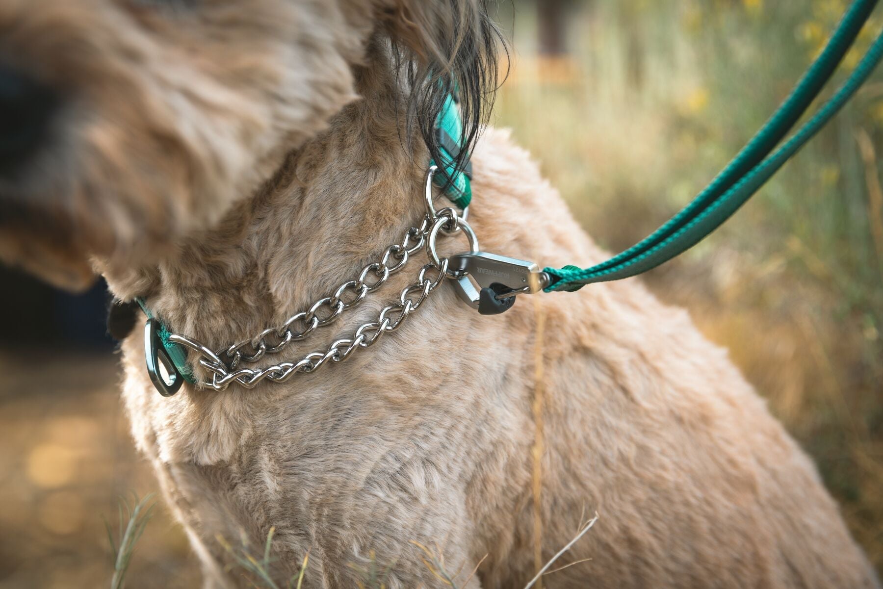 Training Collars - Ruffwear Chain Reaction Martingale Dog Collar