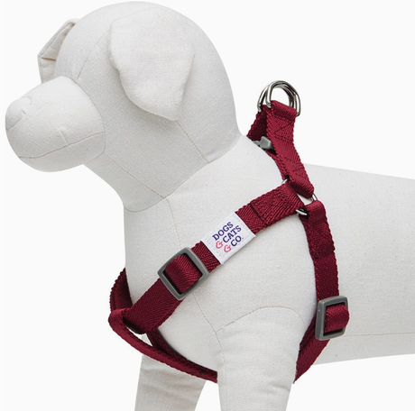 Dogs & Cats & Co. Classic Solid Color Dog Harness by Blueberry Pet