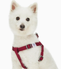 Dogs & Cats & Co. Classic Solid Color Dog Harness by Blueberry Pet