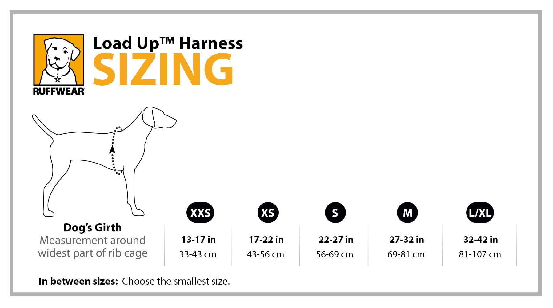 Ruffwear Load up Harness-Leadingdog