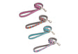 Dog Lead made with 100% recycled webbing-Leadingdog