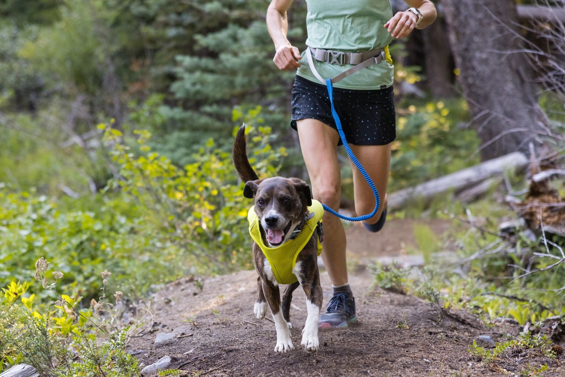 Ruffwear Trail Runner Leash-Leadingdog