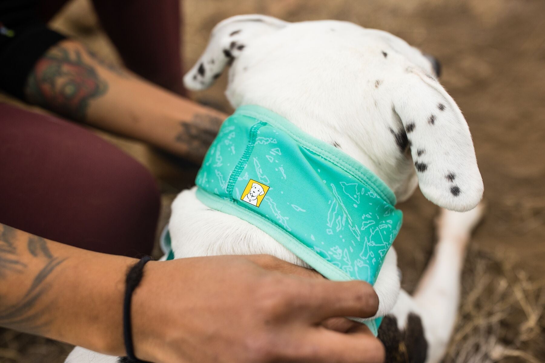 Ruffwear Swamp Cooler Neck Gaiter-Leadingdog