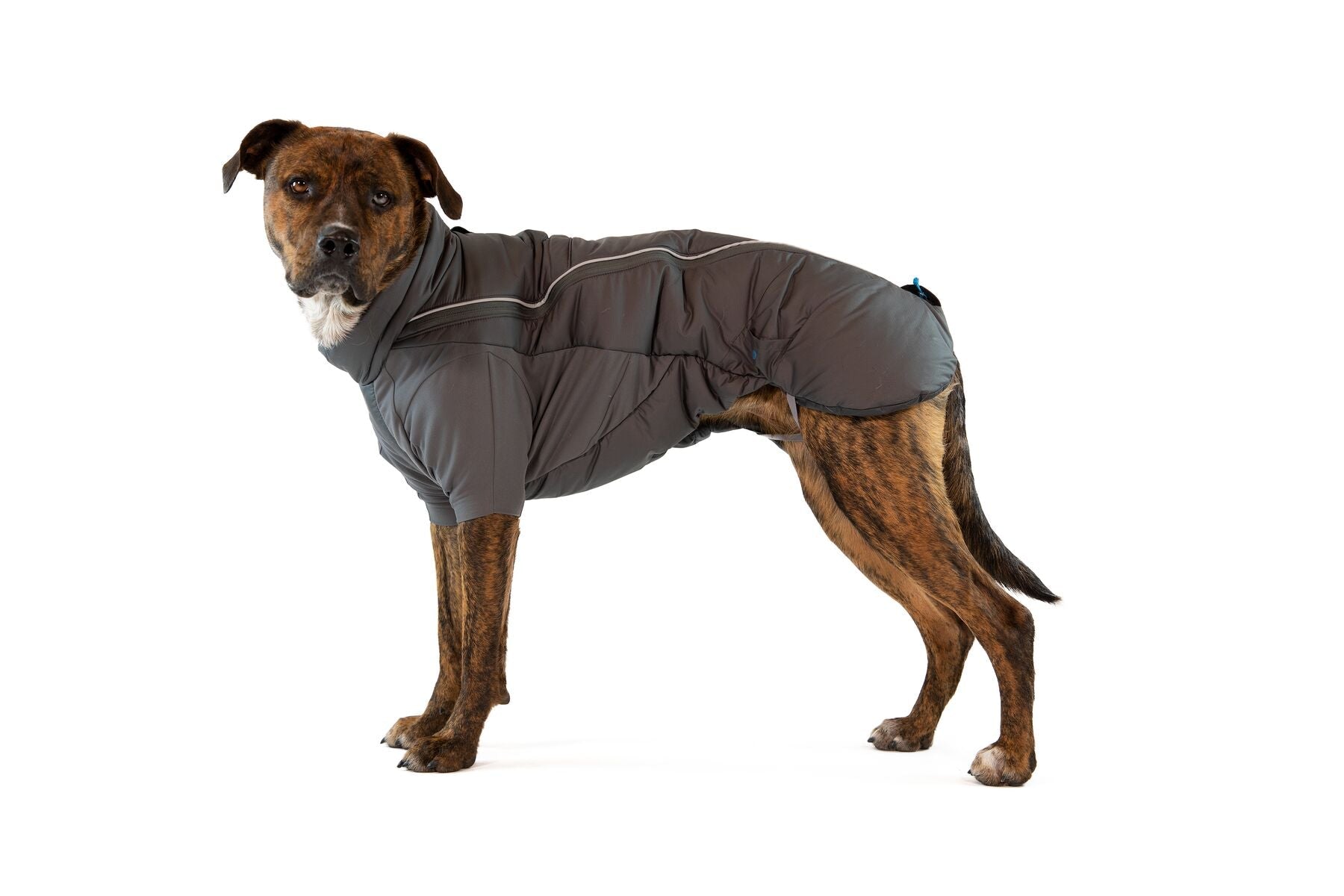 Ruffwear Furness Jacket with FREE Mendota snap lead-Leadingdog