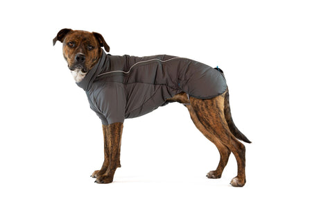 Ruffwear Furness Jacket with FREE Mendota snap lead-Leadingdog