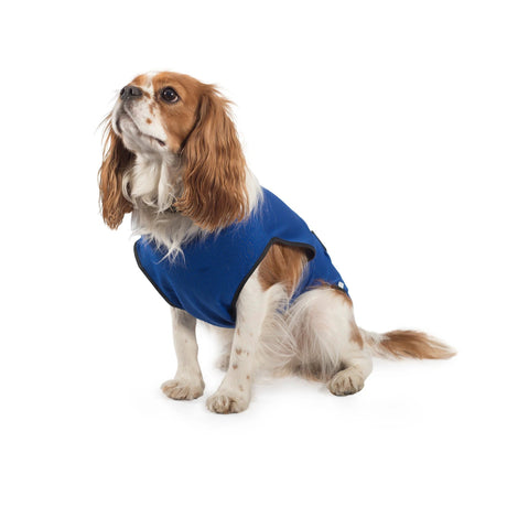 Ancol Pet Cooling Vest For Dogs Instant Wet Cooling Coat To Keep Dogs Cool On Hot Sunny Days by Ancol