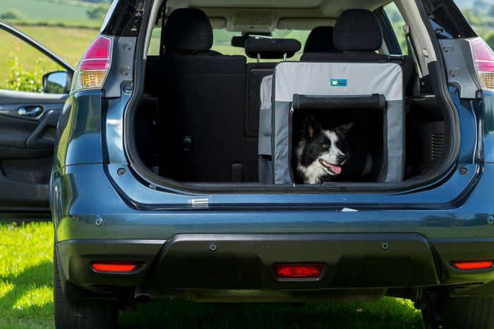 Henry Wag Folding Fabric Dog Travel Crate by Henry Wag