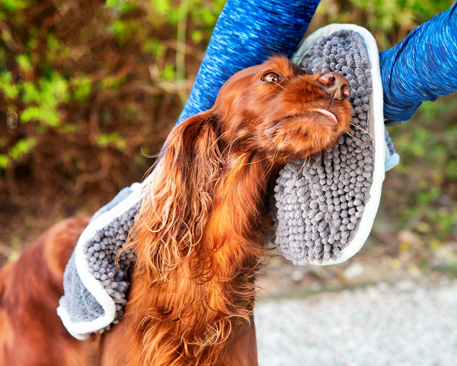 Henry Wag Microfibre Noodle Dog Drying Glove Towel-Leadingdog