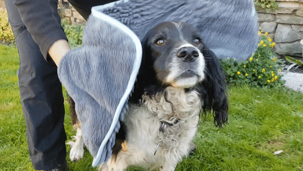 Henry Wag Microfibre Noodle Dog Drying Glove Towel-Leadingdog