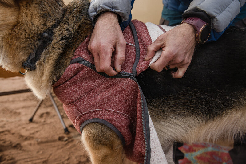 Ruffwear Hemp Hound Sweater-Leadingdog