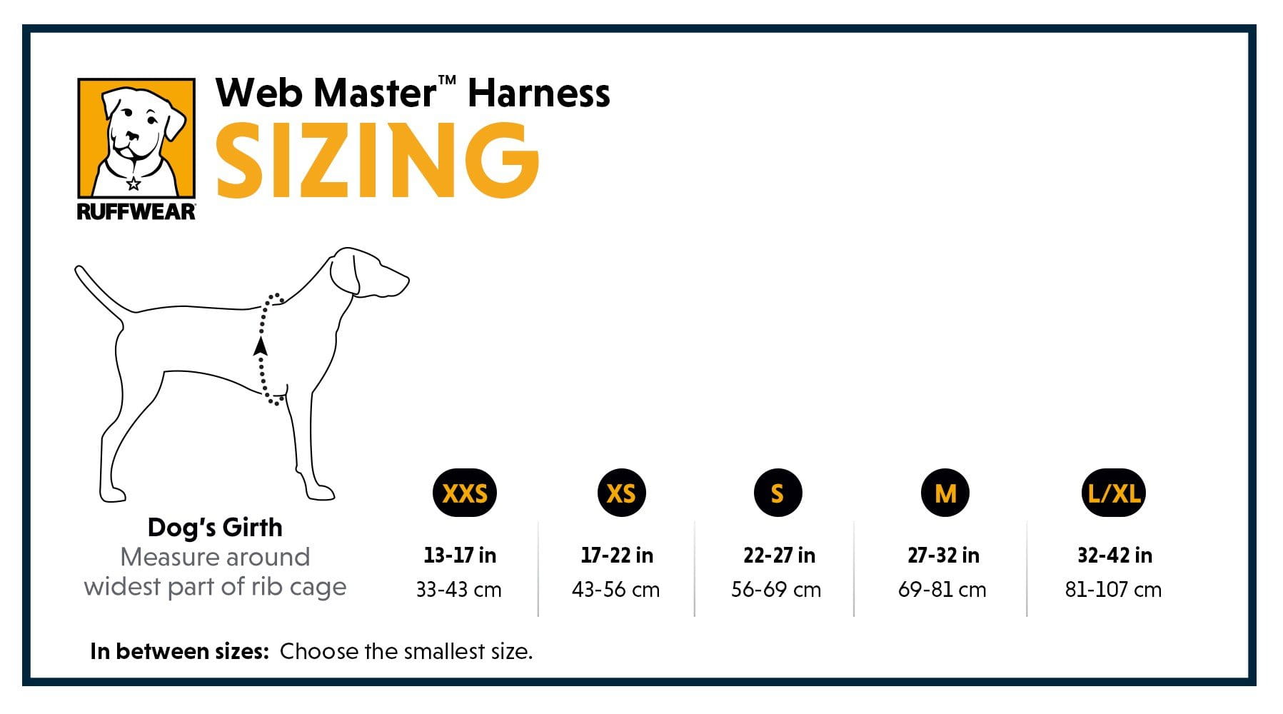 Ruffwear Web Master Dog Harness with Handle-Leadingdog