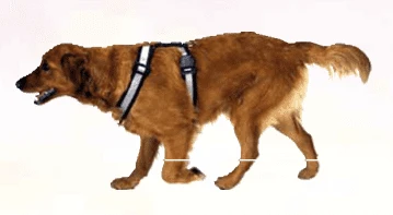 Heavy Duty Reflective Dog Harness by Mendota
