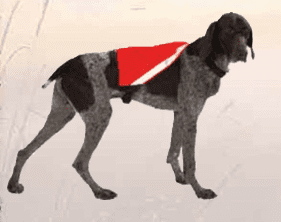 Visi-Vest - Dog Reflective Clothing-Leadingdog
