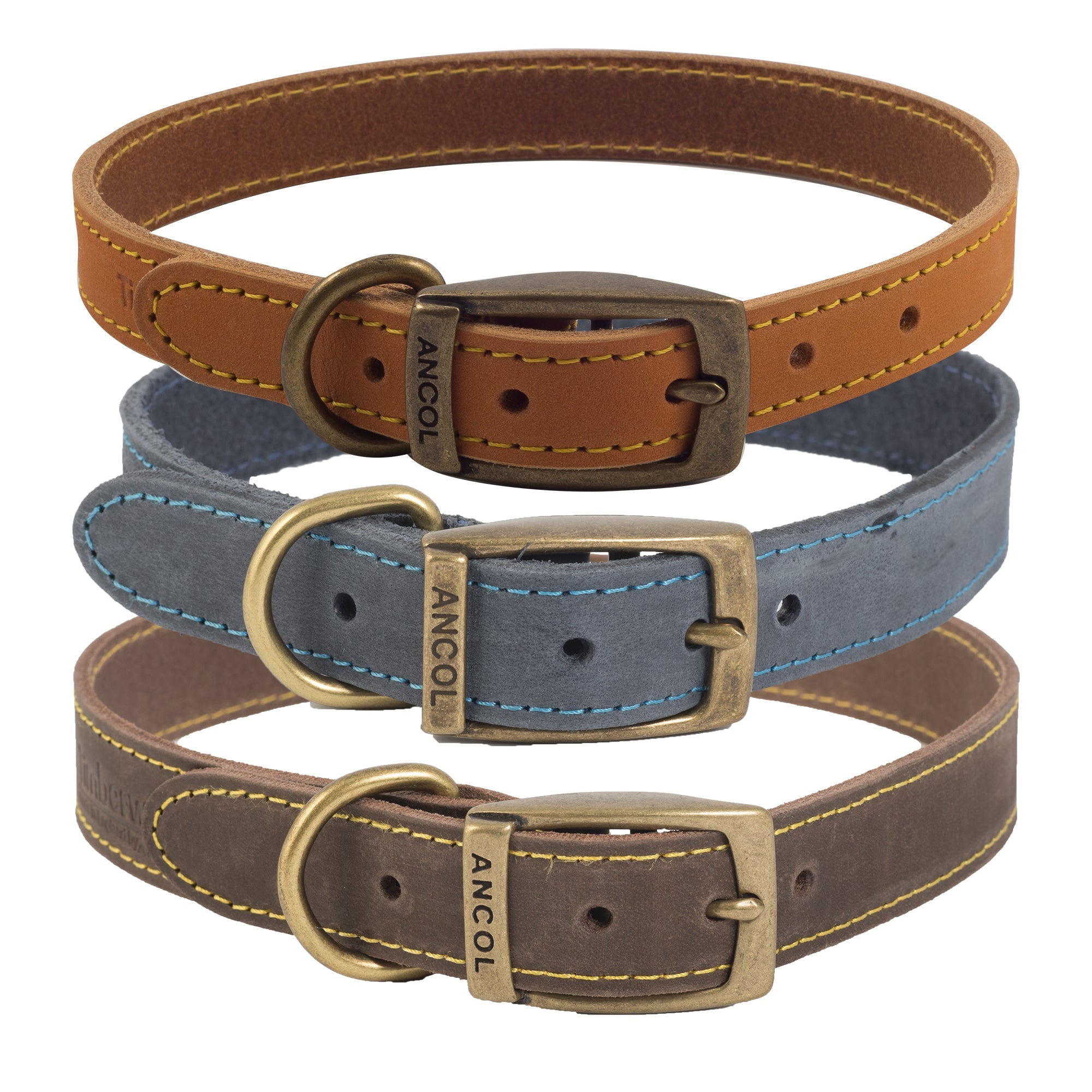 Ancol leather dog store collar