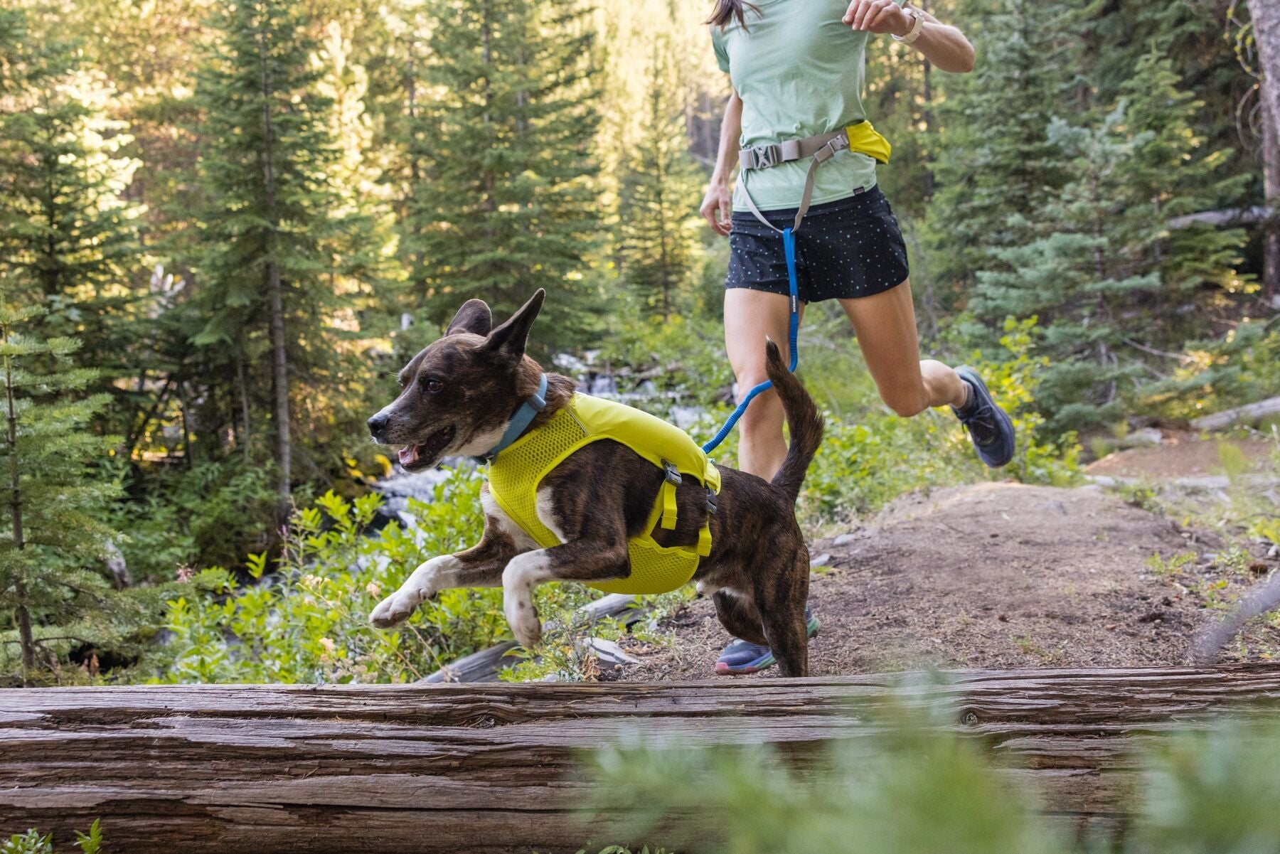 Ruffwear Trail Runner Running Vest-Leadingdog