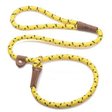 Hi-Viz 6 Foot Slip Dog Lead - Range of Colours by Mendota