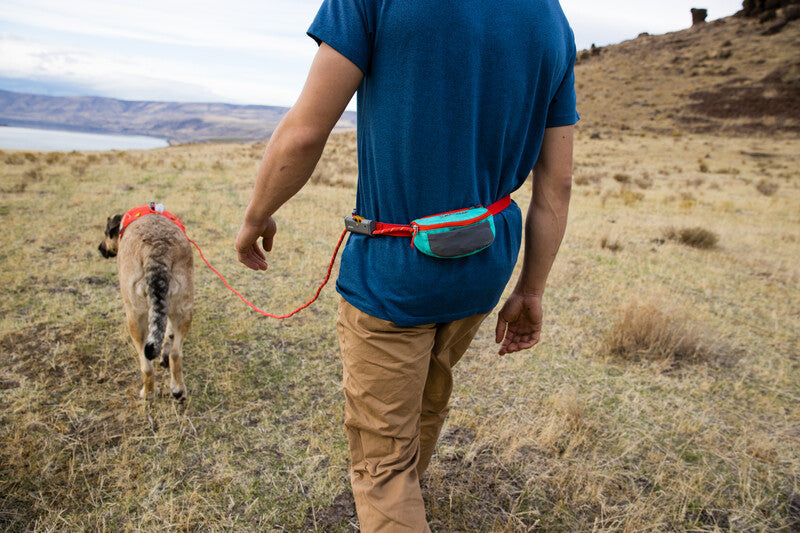 Ruffwear HItch Hiker Leash-Leadingdog