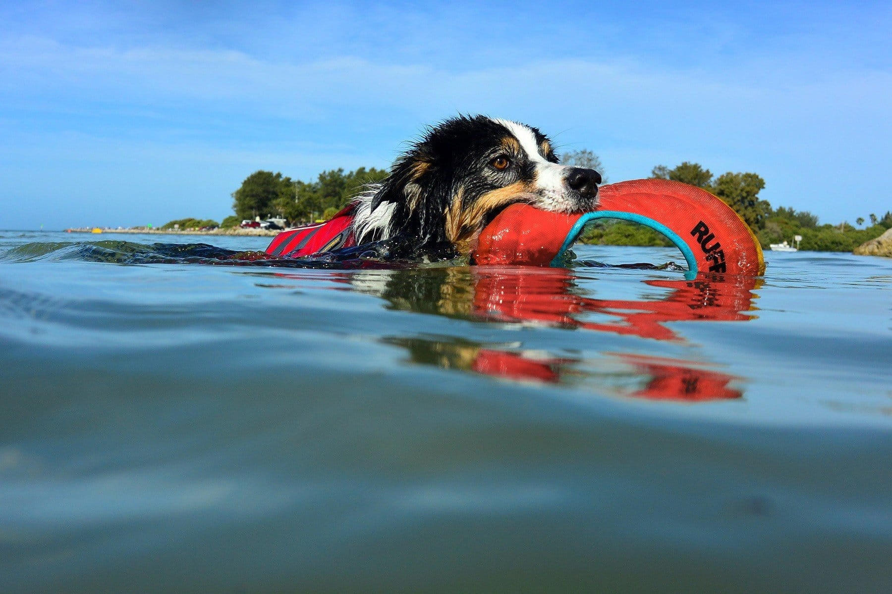 Ruffwear Hydro Plane Floating Foam Dog Toy-Leadingdog