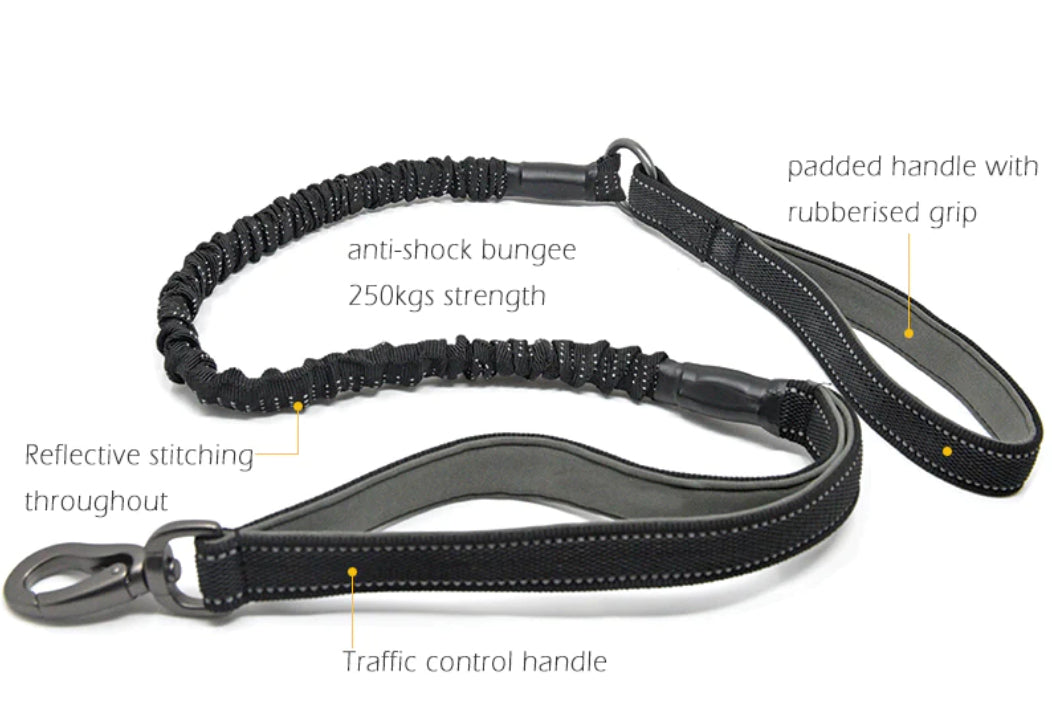 Miro & Makauri Anti Shock Bungee Dog Lead with Traffic Grip-Leadingdog