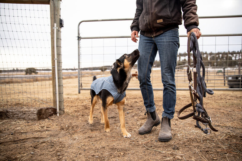 Ruffwear Overcoat Utility Jacket - Redesign-Leadingdog