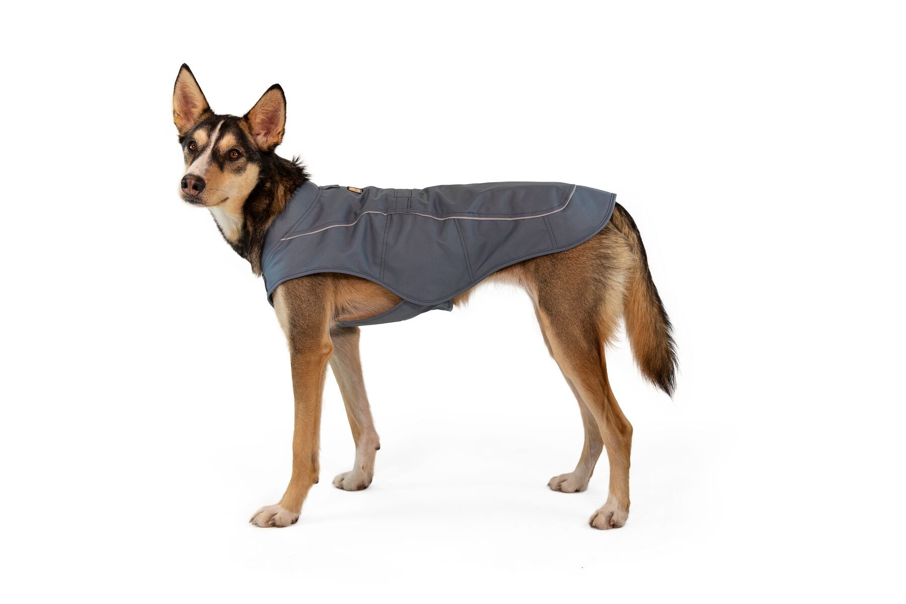 Ruffwear Overcoat Utility Jacket - Redesign-Leadingdog