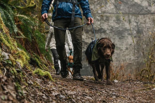 Ruffwear Sun Shower Dog Jacket-Leadingdog